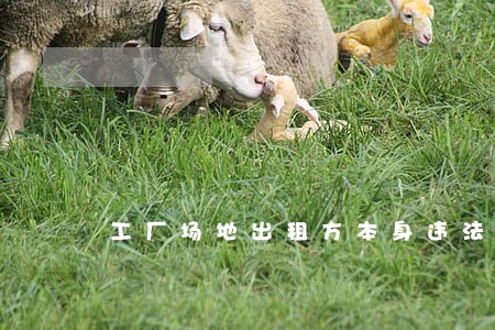 工厂场地出租方本身违法 工厂场地出租方本身违法