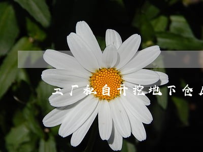工厂私自开挖地下仓库违法吗 工厂私自开挖地下仓库违法吗