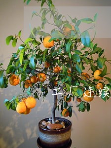 工厂连续上一个月夜班违法吗 工厂连续上一个月夜班违法吗