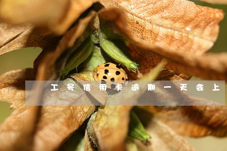 工号信用卡逾期一天会上征信吗 工号信用卡逾期一天会上征信吗