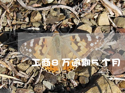 工商8万逾期5个月 工商8万逾期5个月