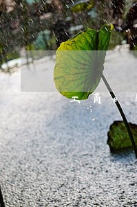 工商e融贷借逾期 工商e融贷借逾期