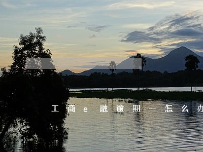 工商e融逾期一怎么办 工商e融逾期一怎么办