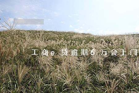工商e贷逾期6万会上门吗 工商e贷逾期6万会上门吗