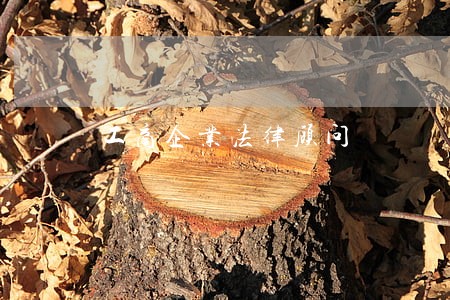 工商企业法律顾问 工商企业法律顾问