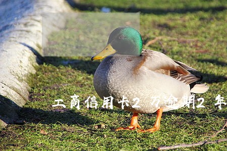 工商信用卡2万逾期2年 工商信用卡2万逾期2年