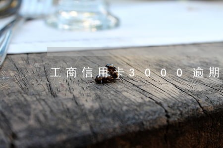 工商信用卡3000逾期三年