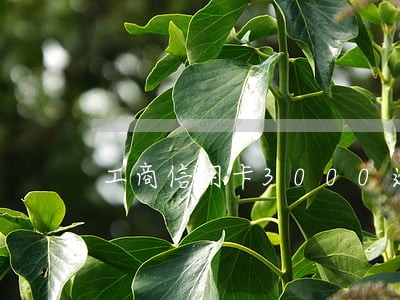 工商信用卡3000逾期了 工商信用卡3000逾期了