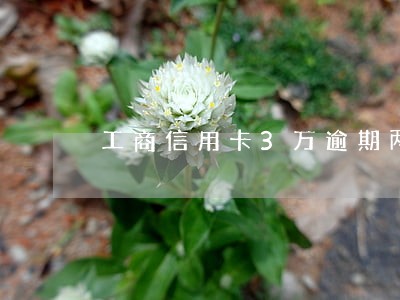 工商信用卡3万逾期两年