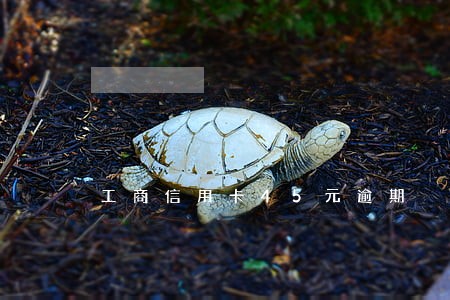 工商信用卡45元逾期