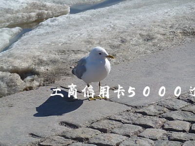 工商信用卡5000逾期