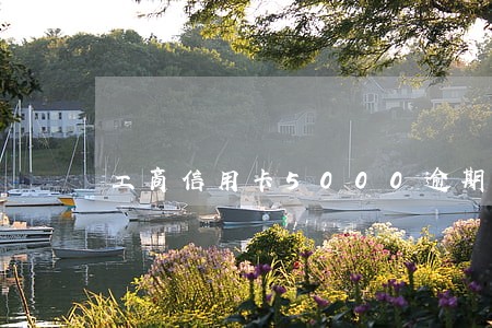 工商信用卡5000逾期5年了 工商信用卡5000逾期5年了