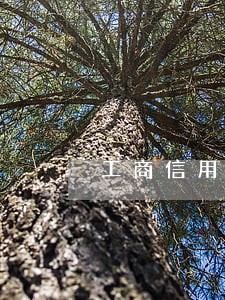 工商信用卡5000逾期不还