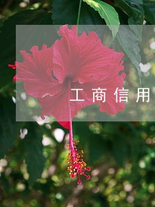 工商信用卡5万逾期大概两年