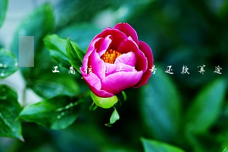 工商信用卡5号还款算逾期吗 工商信用卡5号还款算逾期吗