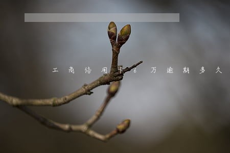 工商信用卡6万逾期多久银行起诉 工商信用卡6万逾期多久银行起诉