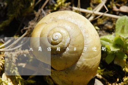 工商信用卡8万逾期