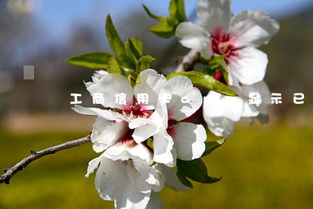 工商信用卡app显示已逾期 工商信用卡app显示已逾期