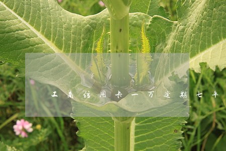 工商信用卡一万逾期七年 工商信用卡一万逾期七年