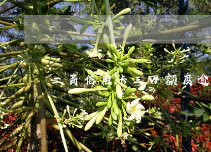 工商信用卡三万额度逾期一年