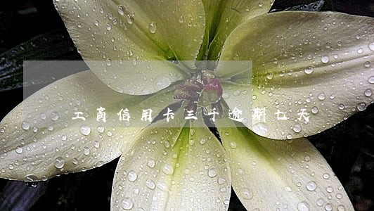 工商信用卡三千逾期七天