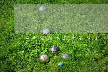 工商信用卡三千逾期了