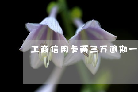 工商信用卡两三万逾期一个月 工商信用卡两三万逾期一个月