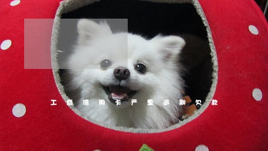 工商信用卡严重逾期欠款