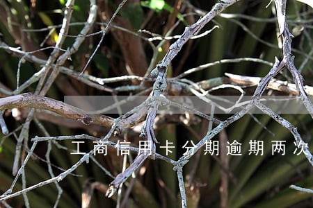 工商信用卡分期逾期两次 工商信用卡分期逾期两次