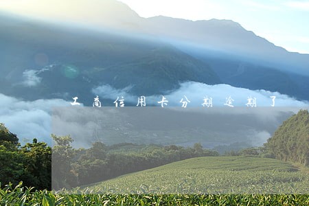 工商信用卡分期逾期了 工商信用卡分期逾期了