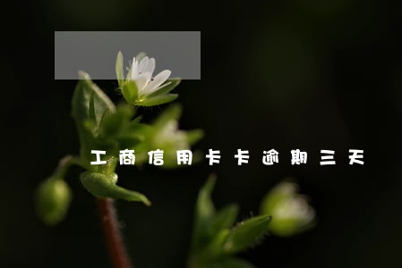 工商信用卡卡逾期三天