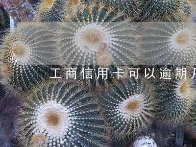 工商信用卡可以逾期几天6