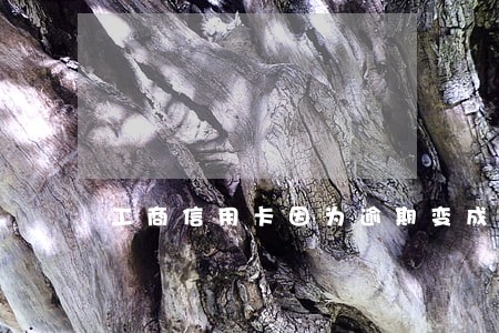 工商信用卡因为逾期变成废卡