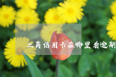 工商信用卡在哪里看逾期 工商信用卡在哪里看逾期