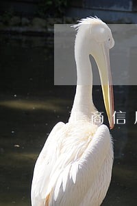 工商信用卡客服说没逾期准确吗 工商信用卡客服说没逾期准确吗
