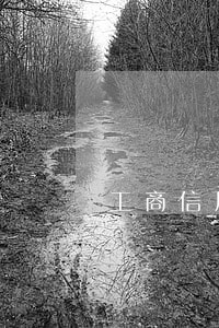 工商信用卡年费逾期怎么办