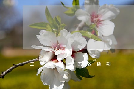 工商信用卡怎么逾期 工商信用卡怎么逾期