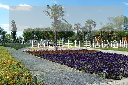 工商信用卡打电话说逾期 工商信用卡打电话说逾期