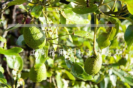 工商信用卡打电话逾期 工商信用卡打电话逾期