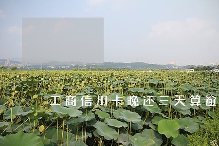 工商信用卡晚还三天算逾期吗 工商信用卡晚还三天算逾期吗