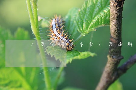工商信用卡本金2万逾期两年 工商信用卡本金2万逾期两年
