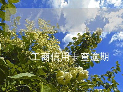 工商信用卡查逾期 工商信用卡查逾期