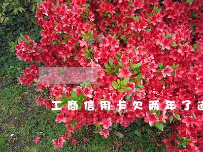 工商信用卡欠两年了逾期费多少 工商信用卡欠两年了逾期费多少