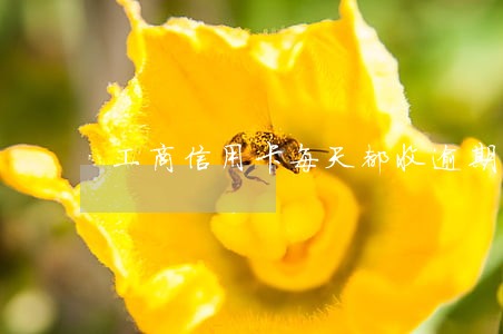 工商信用卡每天都收逾期费吗 工商信用卡每天都收逾期费吗