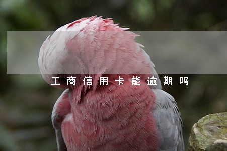 工商信用卡能逾期吗 工商信用卡能逾期吗