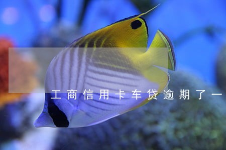 工商信用卡车贷逾期了一天 工商信用卡车贷逾期了一天