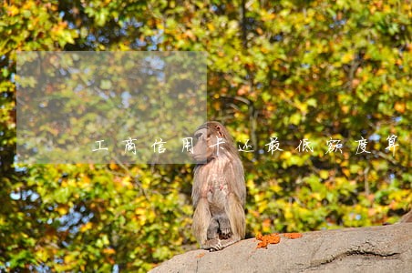 工商信用卡还最低额度算逾期吗 工商信用卡还最低额度算逾期吗