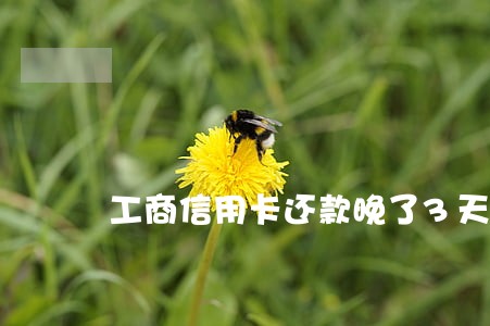 工商信用卡还款晚了3天算逾期吗 工商信用卡还款晚了3天算逾期吗