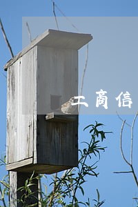 工商信用卡还款逾期一天有事吗 工商信用卡还款逾期一天有事吗