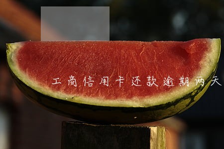 工商信用卡还款逾期两天怎么算 工商信用卡还款逾期两天怎么算